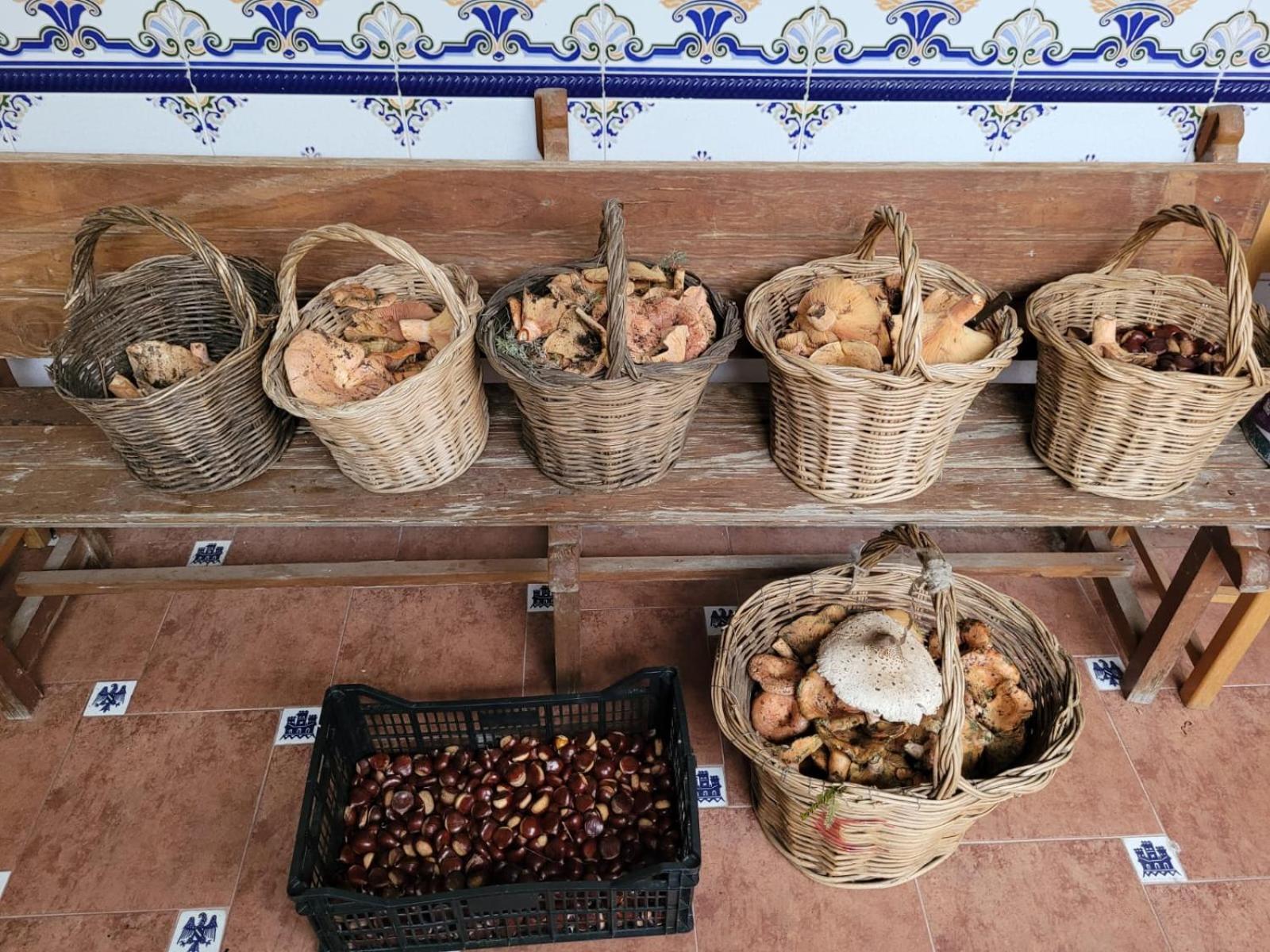 Casa Pozo Tarama Villa Casavieja Dış mekan fotoğraf